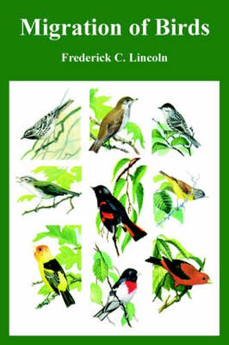 Cover image for Migration of Birds