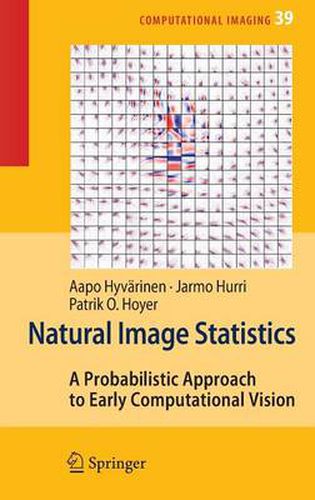 Cover image for Natural Image Statistics: A Probabilistic Approach to Early Computational Vision.
