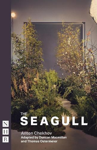 Cover image for The Seagull