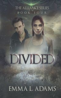 Cover image for Divided