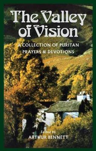 Cover image for Valley of Vision