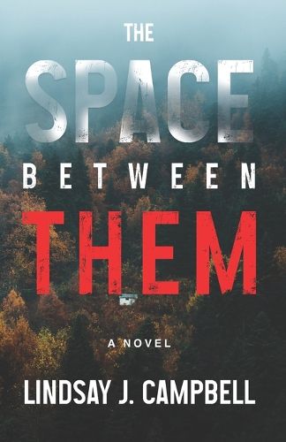 Cover image for The Space Between Them