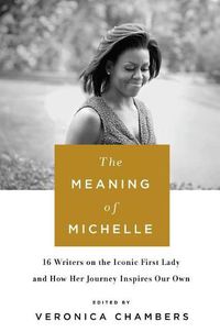 Cover image for The Meaning of Michelle