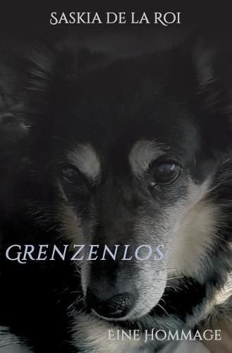 Cover image for Grenzenlos