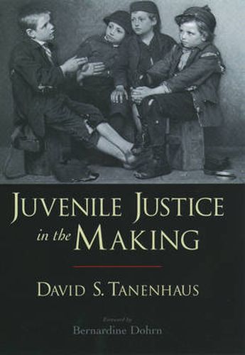 Cover image for Juvenile Justice in the Making