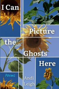 Cover image for I Can Picture the Ghosts Here