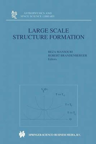 Cover image for Large Scale Structure Formation