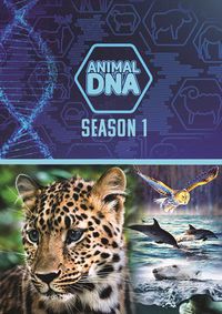 Cover image for Animal DNA: Season One