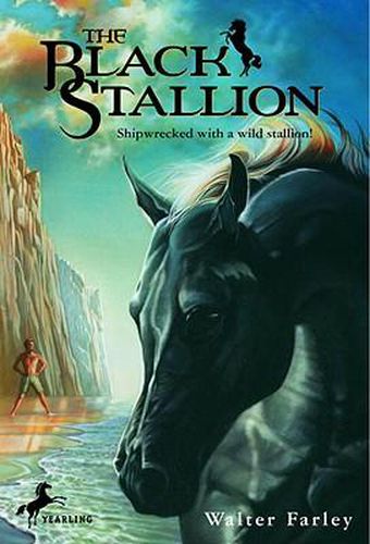 Cover image for The Black Stallion