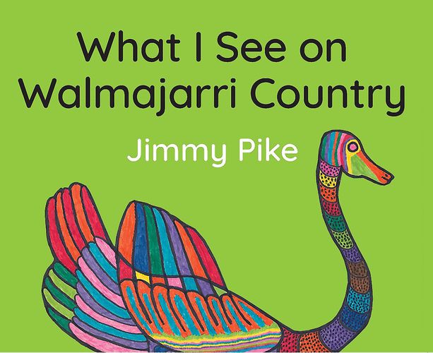 Cover image for What I See on Walmajarri Country