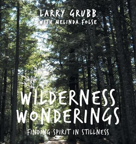 Cover image for Wilderness Wonderings