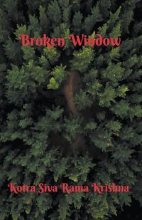 Cover image for Broken Window