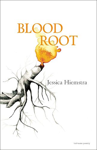 Cover image for Blood Root