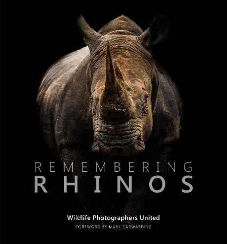 Cover image for Remembering Rhinos
