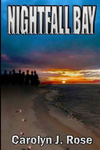 Cover image for Nightfall Bay