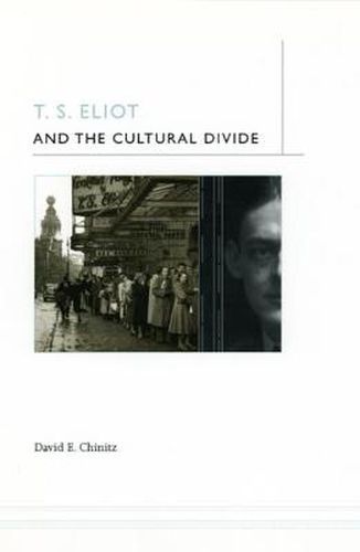 Cover image for T.S. Eliot and the Cultural Divide
