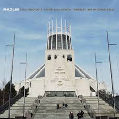Cover image for The Georgia Anne Muldrow 'Seeds' Instrumentals