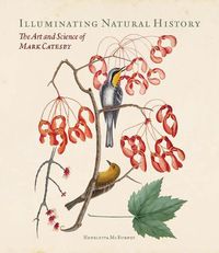 Cover image for Illuminating Natural History: The Art and Science of Mark Catesby