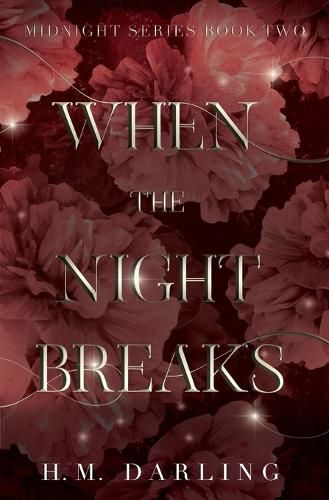 Cover image for When the Night Breaks