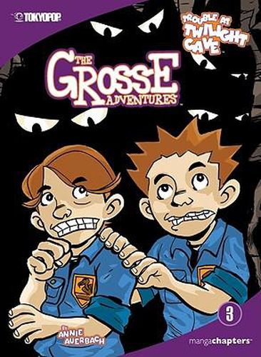 Cover image for Trouble at Twilight Cave