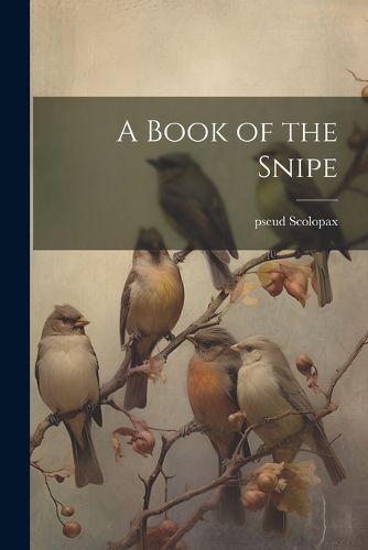 Cover image for A Book of the Snipe