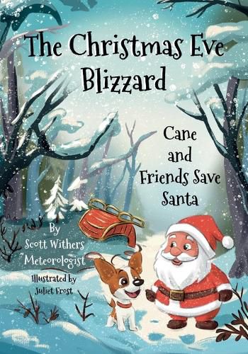 Cover image for The Christmas Eve Blizzard