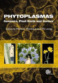 Cover image for Phytoplasmas: Genomes, Plant Hosts and Vectors