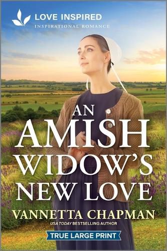 Cover image for An Amish Widow's New Love