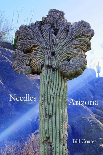 Cover image for Needles Arizona