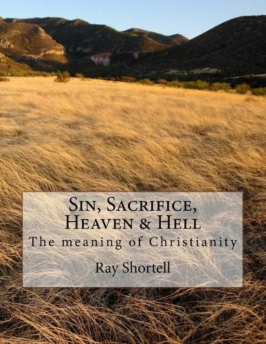Cover image for Sin, Sacrifice, Heaven & Hell: The meaning of Christianity