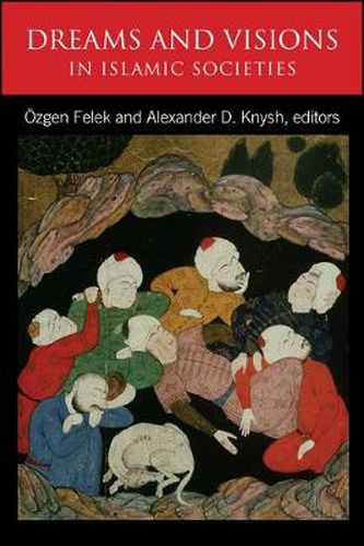 Cover image for Dreams and Visions in Islamic Societies