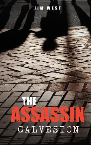 Cover image for The Assassin Galveston