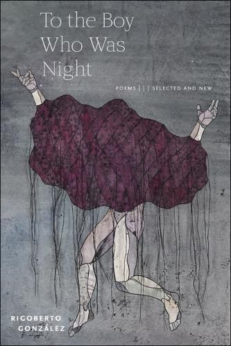 Cover image for To the Boy Who Was Night