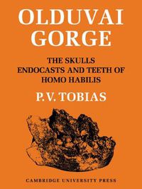 Cover image for Olduvai Gorge 2 Part Paperback Set: Volume 4, The Skulls, Endocasts and Teeth of Homo Habilis