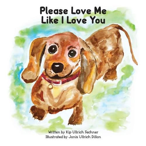 Cover image for Please Love Me Like I Love You