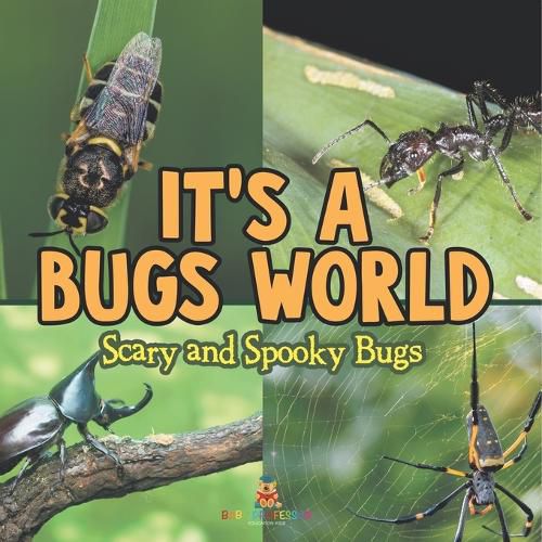 Cover image for Its A Bugs World