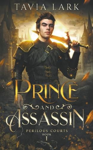 Cover image for Prince and Assassin