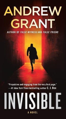 Cover image for Invisible: A Novel