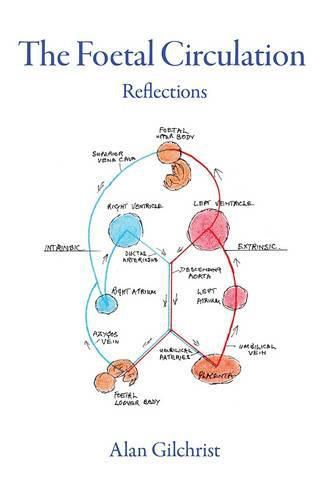 The Foetal Circulation: Reflections