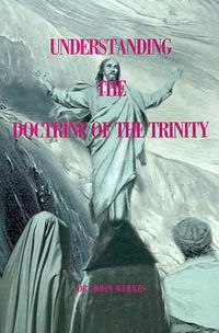 Cover image for Understanding the Doctrine of the Trinity