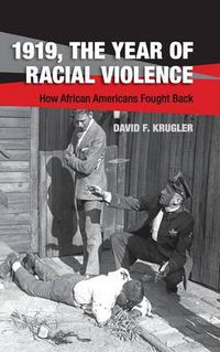 Cover image for 1919, The Year of Racial Violence: How African Americans Fought Back