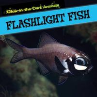 Cover image for Flashlight Fish