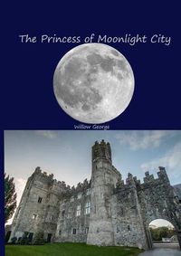 Cover image for The Princess of Moonlight City