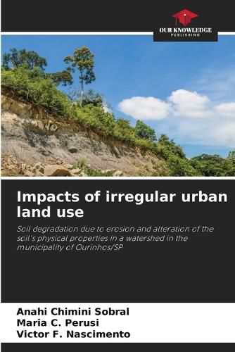 Cover image for Impacts of irregular urban land use