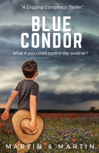 Cover image for Blue Condor