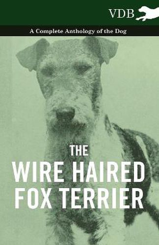 Cover image for The Wire Haired Fox Terrier - A Complete Anthology of the Dog