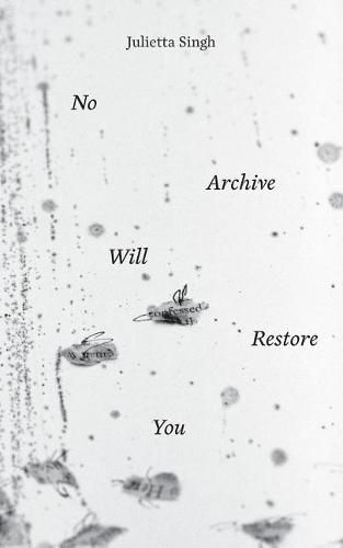 Cover image for No Archive Will Restore You