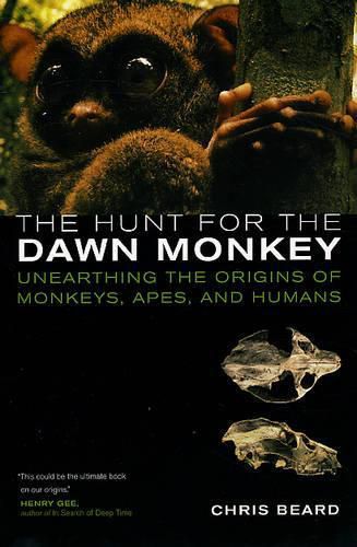 Cover image for The Hunt for the Dawn Monkey: Unearthing the Origins of Monkeys, Apes, and Humans