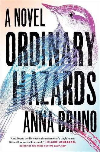 Cover image for Ordinary Hazards