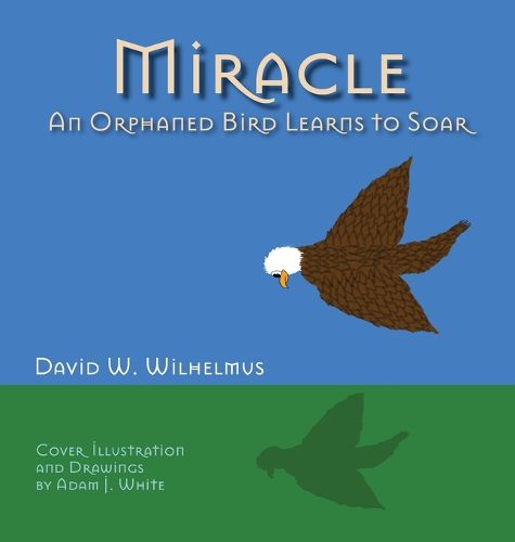 Cover image for Miracle